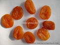 dried apricot 2