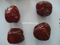 dried date (dried jujube)