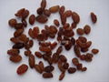 dark raisins (sultana raisins)