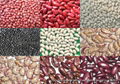 light speckled kidney beans 1