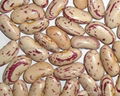 light speckled kidney beans 2