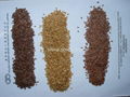 Flax seed (Linseed)