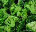 IQF Broccoli Florets