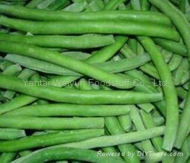 Frozen Green Bean 