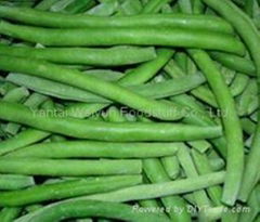 Frozen Green Bean 