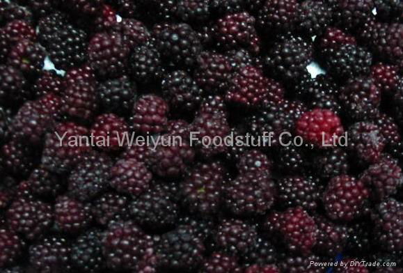 IQF Blackberry Strawberry Blueberry Raspberry Cherry