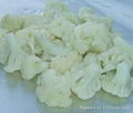 Frozen Cauliflower Florets 