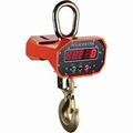 HT9800-Direct Display Electronic Crane Scale 1