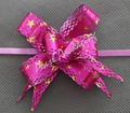Polyester Pull Bow 3