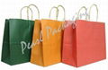 Plain Kraft Paper Bag 1