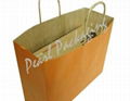 Plain Kraft Paper Bag 2