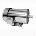 three resistant stainless steel motor 1