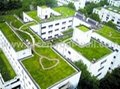 Green Roof Systerm