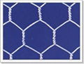 Hexagonal Wire Netting  2