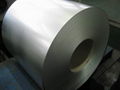 Galvanized Steel Coils