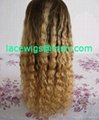 ful lace wigs ,body wave wigs,lace front wigs, 2