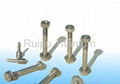 titanium screw