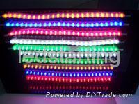 LED Rope Light 