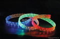 LED Rope Light  3