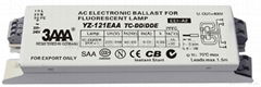 2D(TC-DD/DDE) Standard Electronic Ballast for Fluorescent Lamp