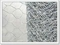 Hexagonal wire netting  1