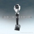 Crystal-Trophy 1