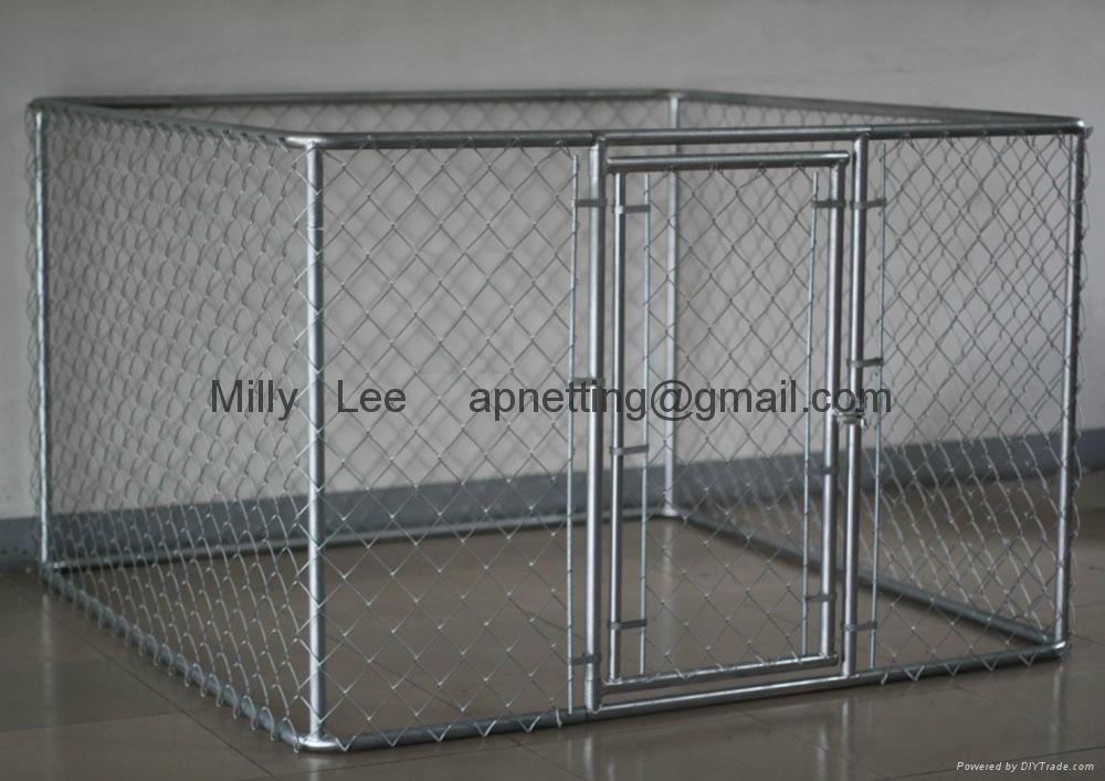 pet cage dog cage Dog Kennels Dog Pens (China Manufacturer ...