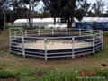 Livestock panel round yard corral panel horse stalls horse corral panels 3