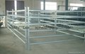 Livestock panel round yard corral panel horse stalls horse corral panels 4
