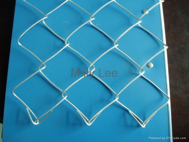 chian link fence 2