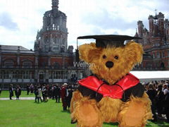 Graduation Bear