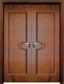 PVC Entrance Door