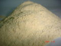 Yeast Powder