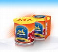 AREON Gel Can 2