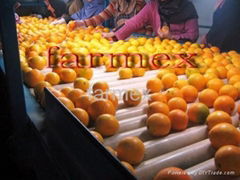 Farmex for export and import