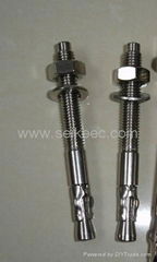 Stainless Steel Wedge Anchors