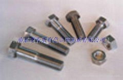 Stainless steel,Duplex stainless steel bolts