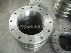 Stainless steel,Duplex steel falnges