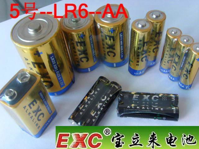 高品質電池 5號碱性無汞(LR6 AA) 4