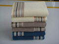 100% cotton solid and terry border beach towel  2