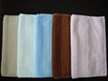 100% cotton solid and terry border beach towel  3