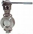 Butterfly Valve 1