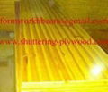 Three Ply Shuttering Panel 1