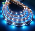 LED Strip 1