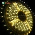 DIP LED Flexible Strip