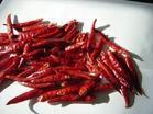 chaotian chilli