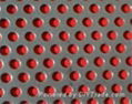 Perforated Metal Mesh 5