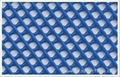 Plastic Flat Net