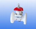 PVDF diaphragm valve 1