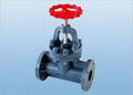 FRPP flanged globe valve 1